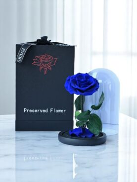 Forever Blue Rose