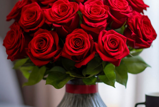 Blooming Love – A Guide to the Most Romantic Flowers for Valentine’s Day in Dubai