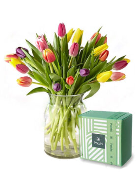 Tulips Vase with Chocolate