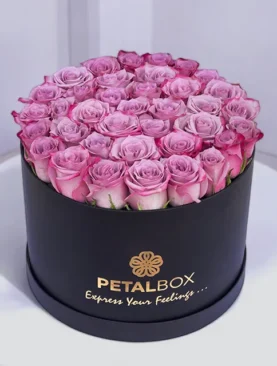 40 Purple Roses Box