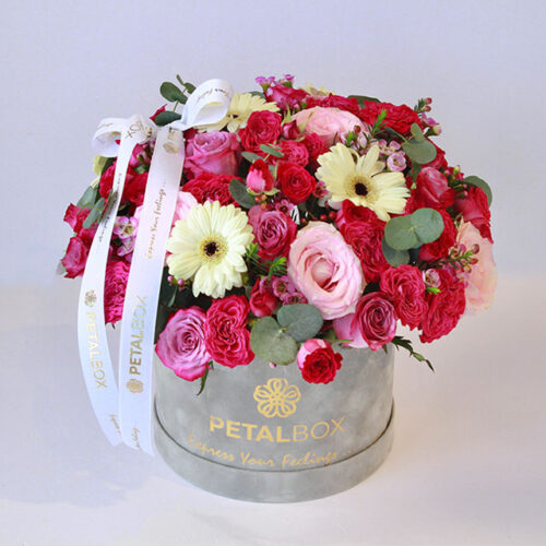 Mystic-Garden-Harmony