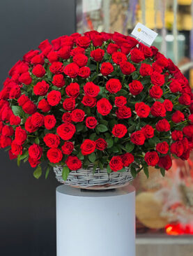 300 Red Roses Basket