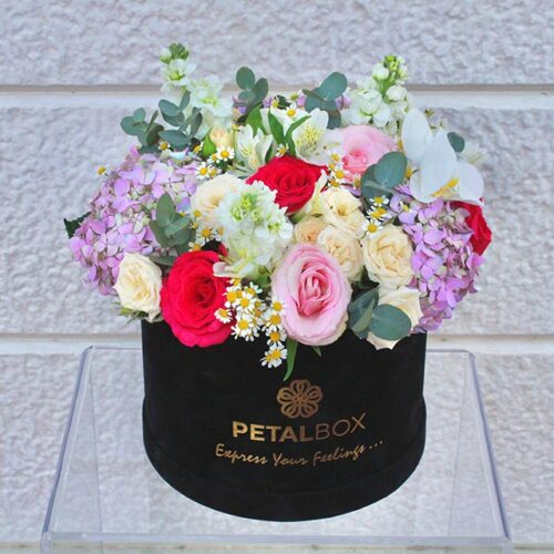 Radiant-Garden-Medley