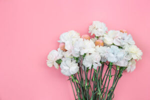 Carnations-and-Snowdrops