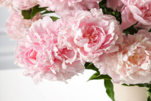 Peonies