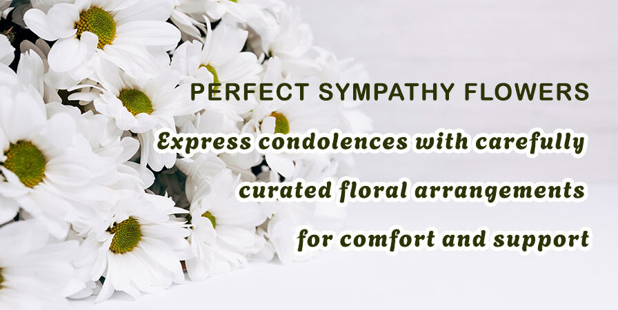 The Perfect Flowers for Sympathy and Condolences