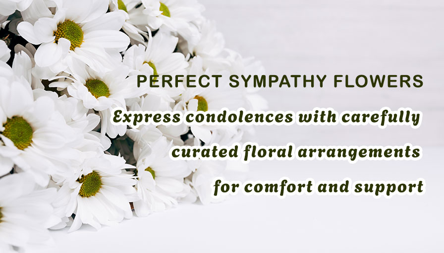 The Perfect Flowers for Sympathy and Condolences