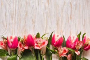 Tulips and Lilies