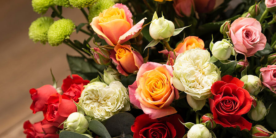 The Best Flowers for Apology and Forgiveness