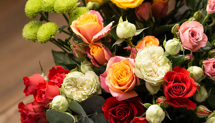 The Best Flowers for Apology and Forgiveness