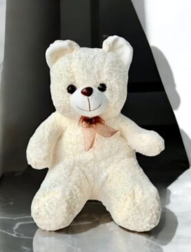 Off White Teddy Bear