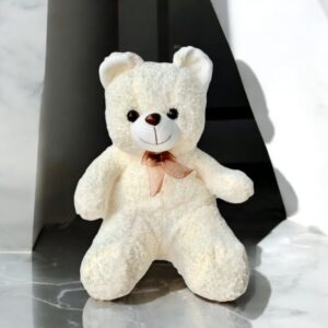 Off White Teddy Bear