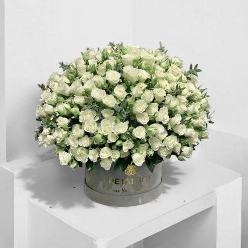 White Baby Roses Box