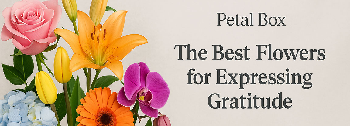 The Best Flowers for Expressing Gratitude