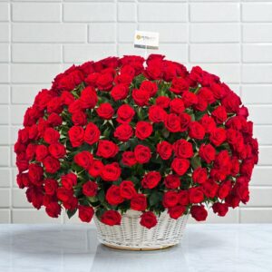 500 Red Roses Basket