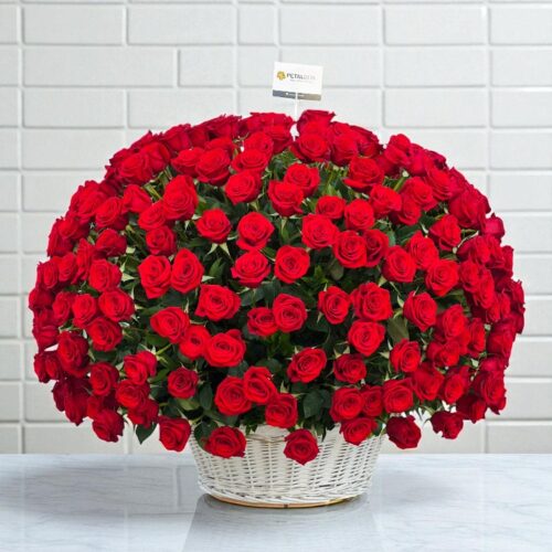 500 Red Roses Basket