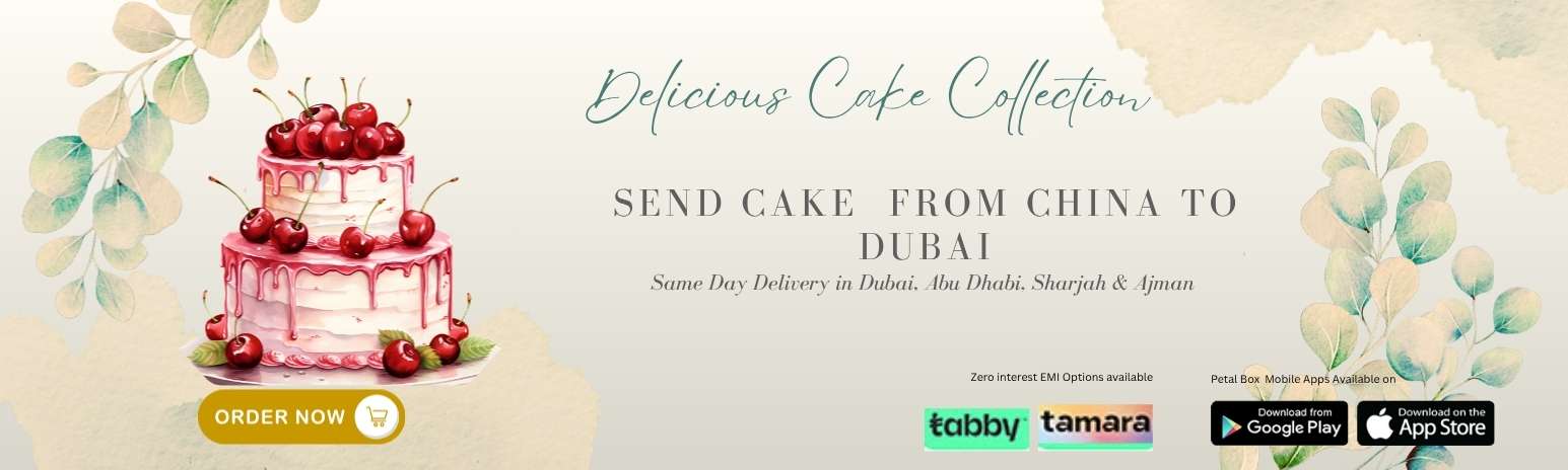 Send Cake from China to Dubai