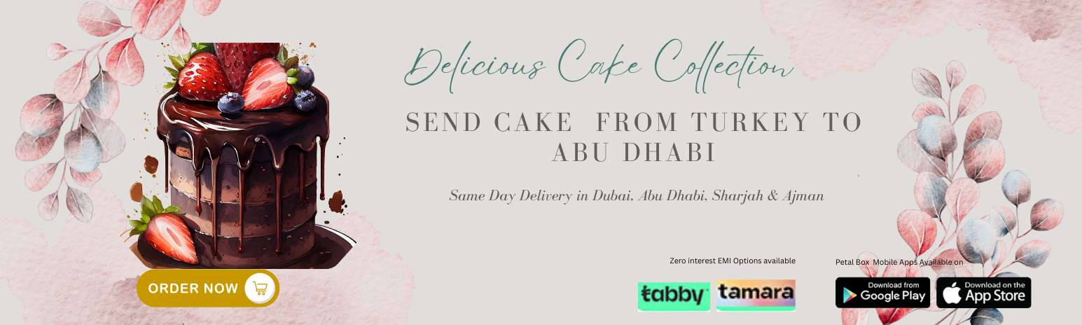 Send Cake from Turkey to Abu Dhabi
