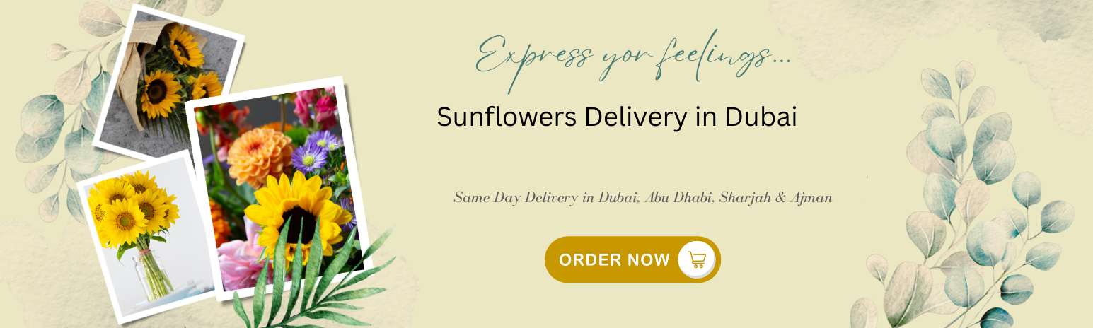 Sunflowers Delivery in Dubai