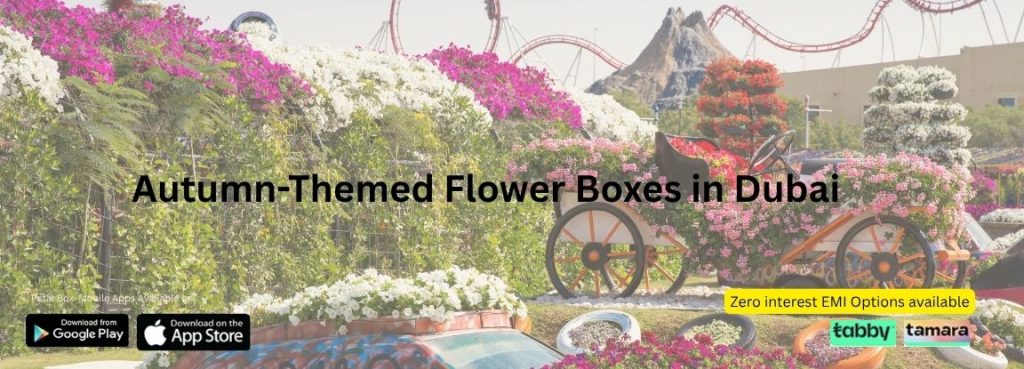 Autumn-Themed Flower Boxes in Dubai