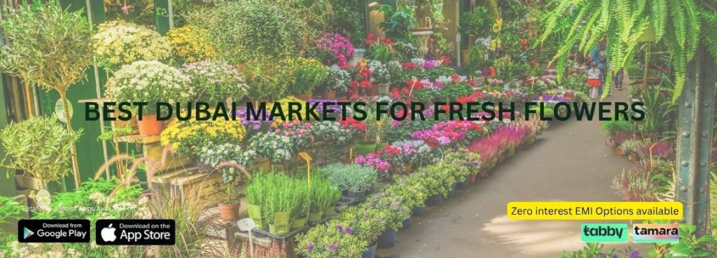 Best Dubai Markets for Fresh Flowers