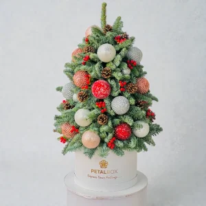 Beautiful Christmas Joy Gift