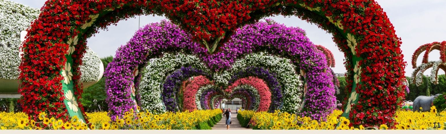 Top Flower Photography Spots in Dubai