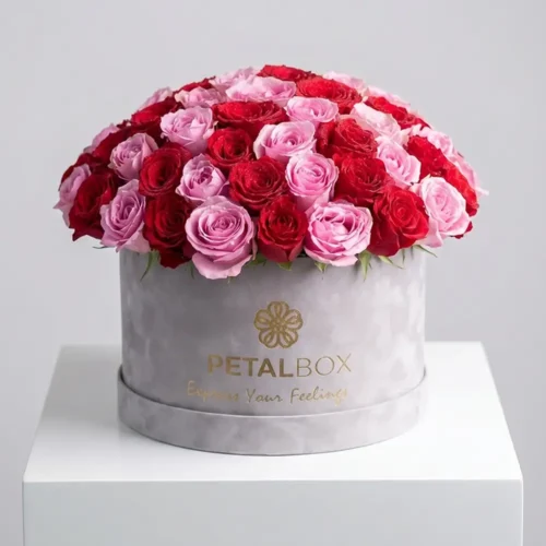 Luxury pink and red rose flower box arrangement in a premium velvet Petal Box, styled for romantic gifting and elegant special occasions in Abu Dhabi and Dubai.